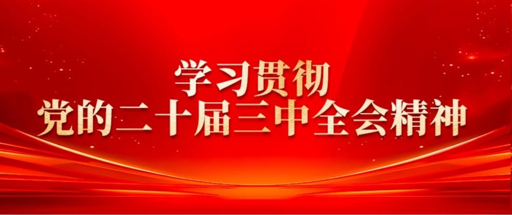 學(xué)習(xí)貫徹黨的二十屆三中全會(huì)精神② 產(chǎn)發(fā)園區(qū)集團(tuán)董事長(zhǎng)劉孝萌：抓好“建、招、儲(chǔ)、運(yùn)”,建設(shè)高質(zhì)量產(chǎn)業(yè)園區(qū)